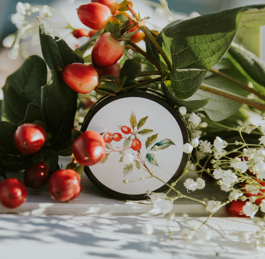 THE PLAINS I Hydrating Bison Balm